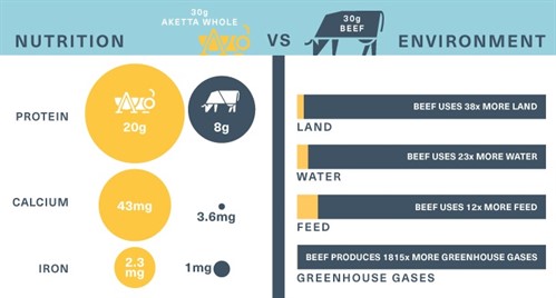 Five Reasons To Eat Crickets
